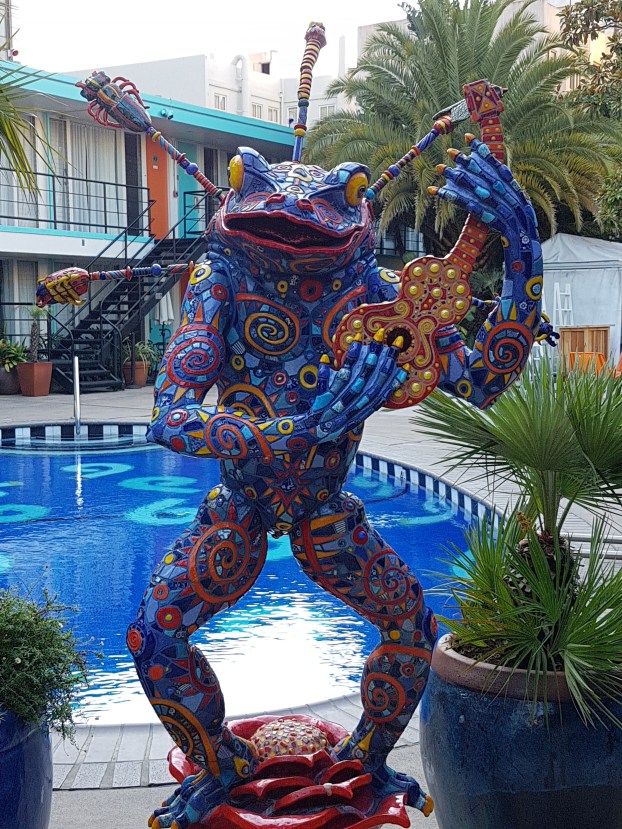 Hey, Mr. Mariachi Frog